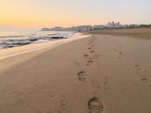 Tammikuun Espanjan leirillä en olisi osannut arvata, että koronavirus muuttaisi koko kevään suunnitelmat myös kisojen ja harjoitusleirien osalta.