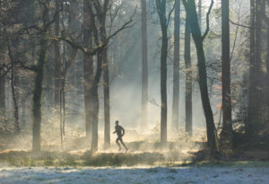 kestävyysliikunta pitää nuorena