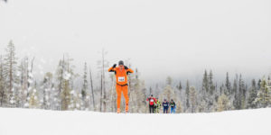 Ylläs–Levi-hiihto