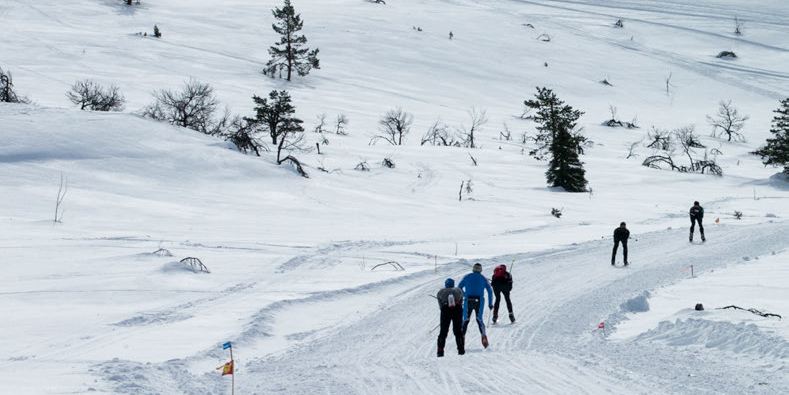 9 vinkkiä kuntohiihtäjälle - myös terveysliikunta hoituu tehokkaasti hiihtäen
