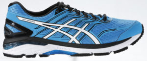 Asics GT-2000 5