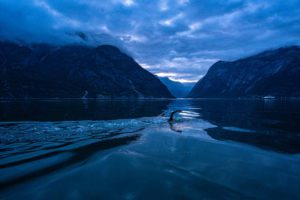 Avovesiuinti kylmässä