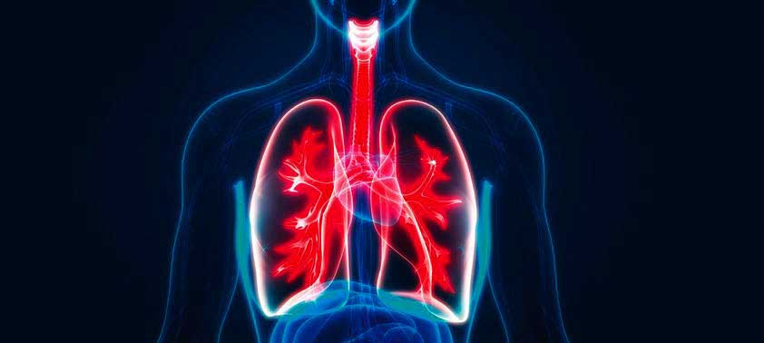 keuhkot ja kestävyys