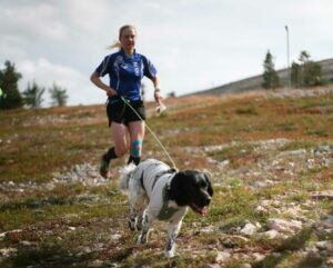 Suunnistaja pääkirjoitus
