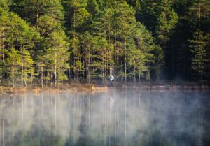 polkujuoksukesä 2023