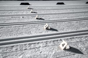 hisumiesten matkassa