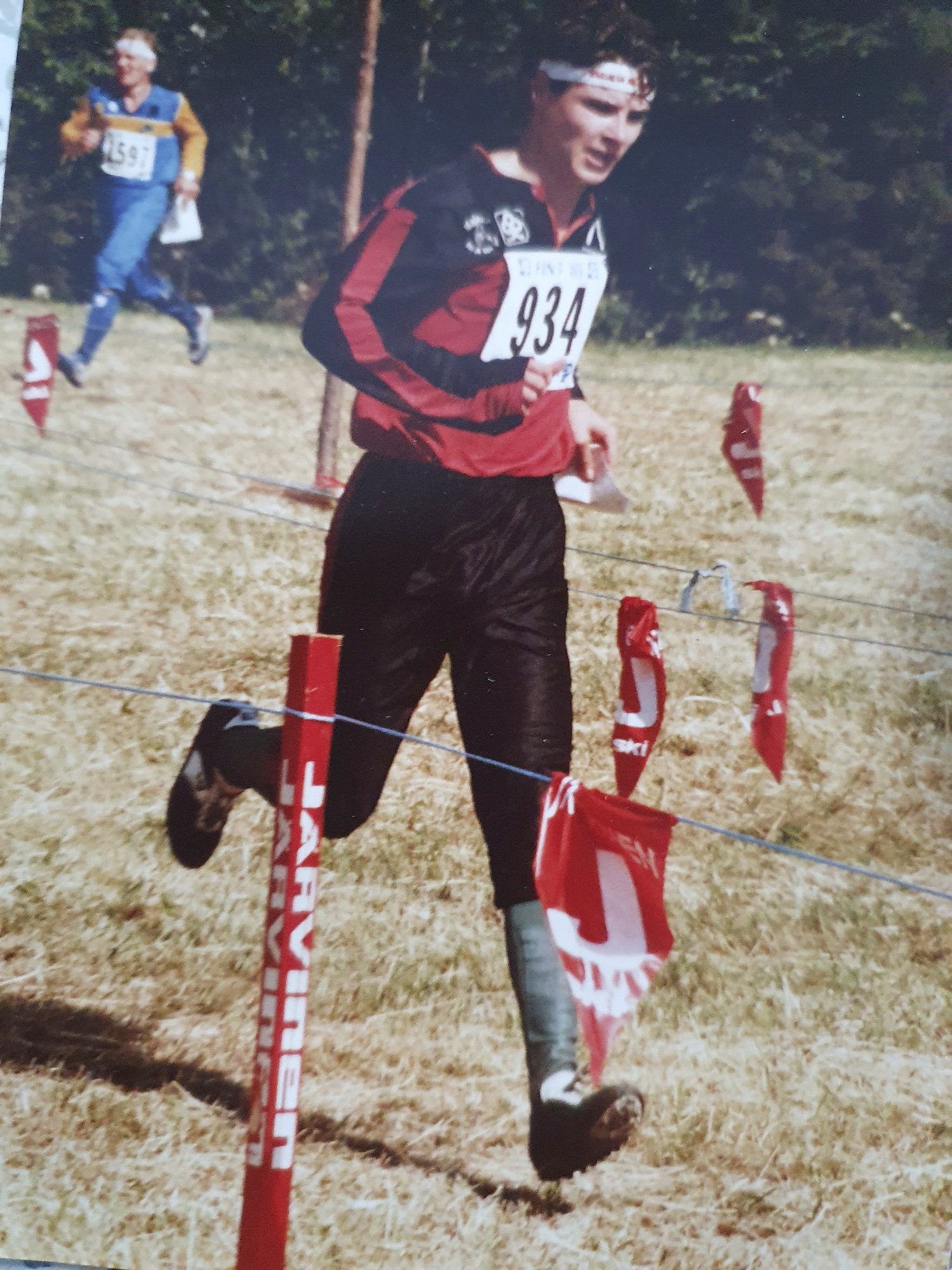 Olli rauste