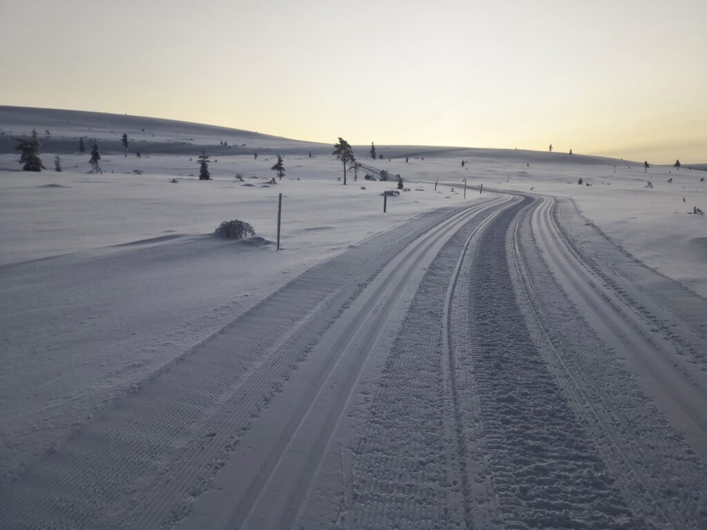 tutkittua treenimäärät
