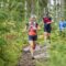 Himos Trail